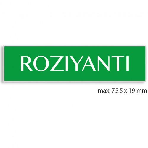 engraved name tag model tag 2 in green