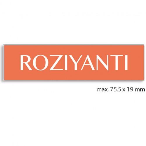 engraved name tag model tag 2 in orange