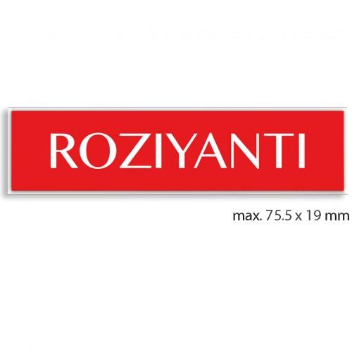 engraved name tag model tag 2 in red